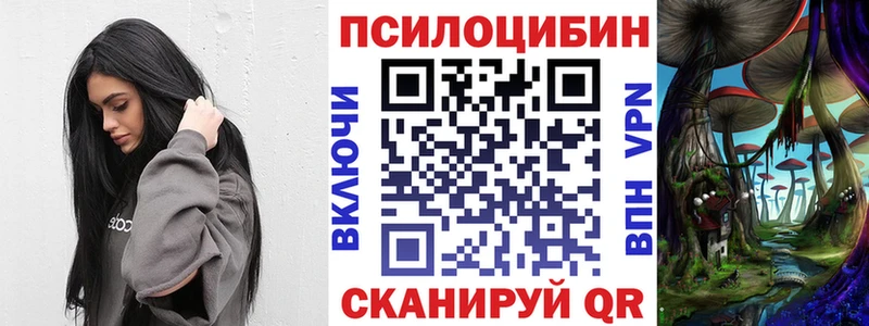 Псилоцибиновые грибы Cubensis  Котовск 