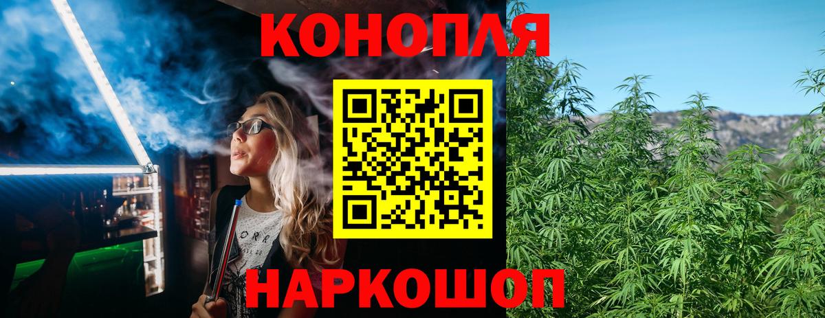 Канабис конопля  Бошки Шишки план  Канабис MAZAR  Вход с VPN  Котовск 